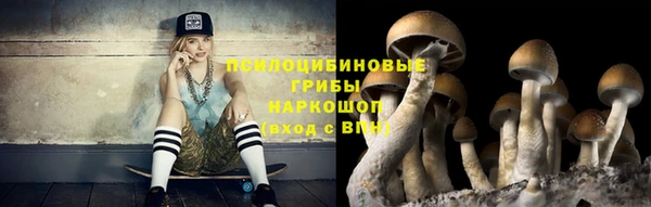 прущая мука Пролетарск