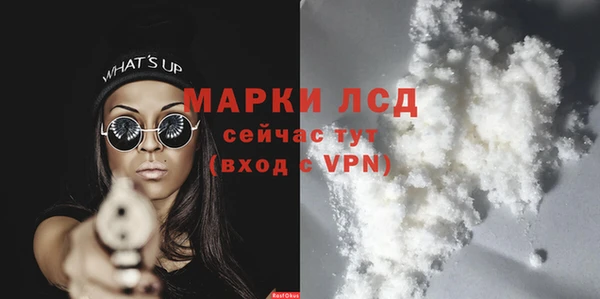 гидра Протвино