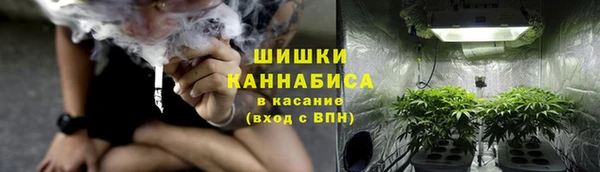 гидра Протвино