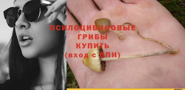 гидра Протвино