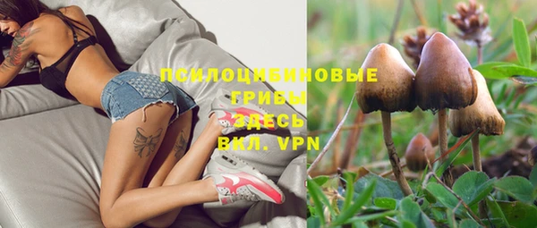 прущая мука Пролетарск
