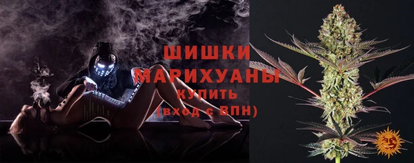 гидра Протвино