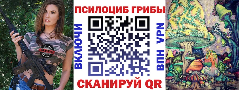 Купить где  Сосенский  Псилоцибиновые грибы Magic Shrooms 